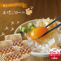 【ふるさと納税】21-1015．【定期便3回】濃厚でコクのある味わい！のびのび育った土佐ジローの自然卵40個（10個入り×4パック） 合計120個 ふるさと納税 卵 玉子 たまご 鶏卵 土佐ジローの卵 土佐ジロー 自然卵 新鮮 おいしい 自慢 高知 高知県 四万十市 産地直送 送料無料