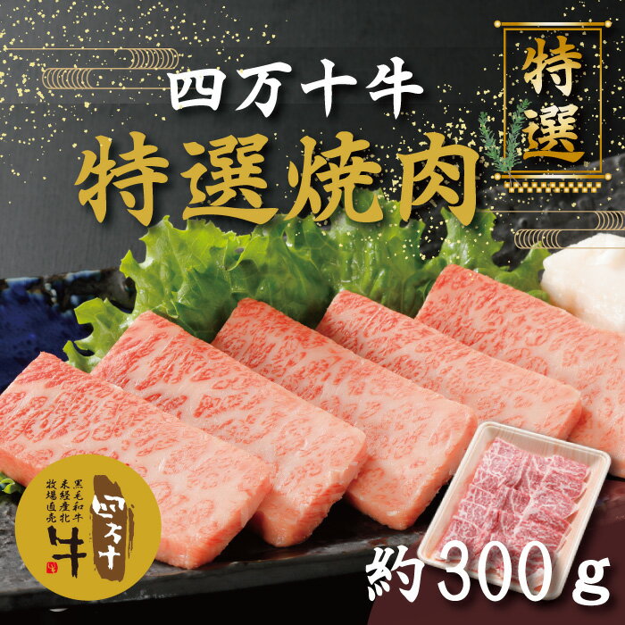 R5-976．幻のメス牛 四万十牛特選焼肉（約300g） 国産 高知 しまんと 四万十 四万十牛 メス牛 お取り寄せ 牧場直売 肉 牛肉 黒毛和牛 ご褒美 焼肉 リブロース 肩ロース バーベキュー BBQ