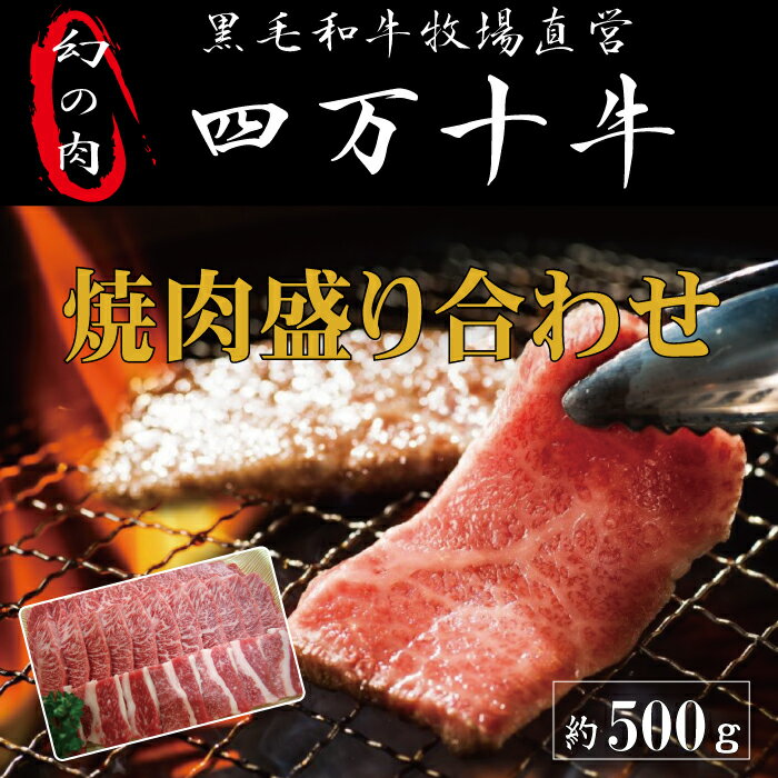 R5-978．幻の四万十牛　四万十産黒毛和牛　焼肉盛り合わせ　約500g 黒毛和牛　焼肉　お取り寄せ 高知 産地直送 送料無料