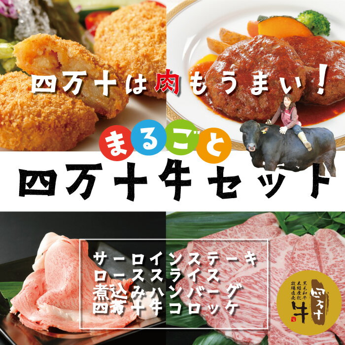 13位! 口コミ数「0件」評価「0」R5-021．幻のメス牛 まるごと四万十牛セット（サーロインステーキ・ローススライス・煮込みハンバーグ・四万十牛コロッケ） 国産 高知 四万･･･ 