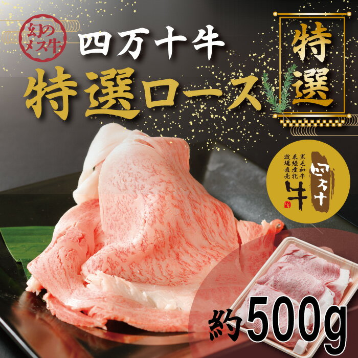 幻のメス牛 四万十牛特選ローススライス(すき焼き・しゃぶしゃぶ用)約500g 国産 高知 しまんと 四万十 四万十牛 メス牛 お取り寄せ 牧場直売 肉 牛肉 黒毛和牛 ご褒美 ロース ローススライス すき焼き しゃぶしゃぶ リブロース 肩ロース