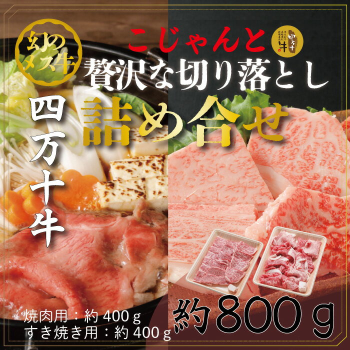 幻のメス牛 四万十牛こじゃんと贅沢な詰め合せ(焼肉用・すき焼き用)計800g 国産 冷凍 黒毛和牛 特上 ロース 焼肉 やきにく すき焼 すきやき 牛肉 肉 ビーフ ご当地 グルメ 食べ比べ 専門店 四国 高知 四万十 しまんと お取り寄せ 送料無料