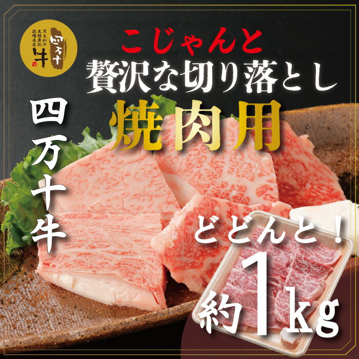 R5-979．幻の四万十牛 四万十産黒毛和牛 焼肉用 切り落とし 約1kg ふるさと納税 高知 肉 黒毛和牛 お取り寄せ 産地直送 送料無料