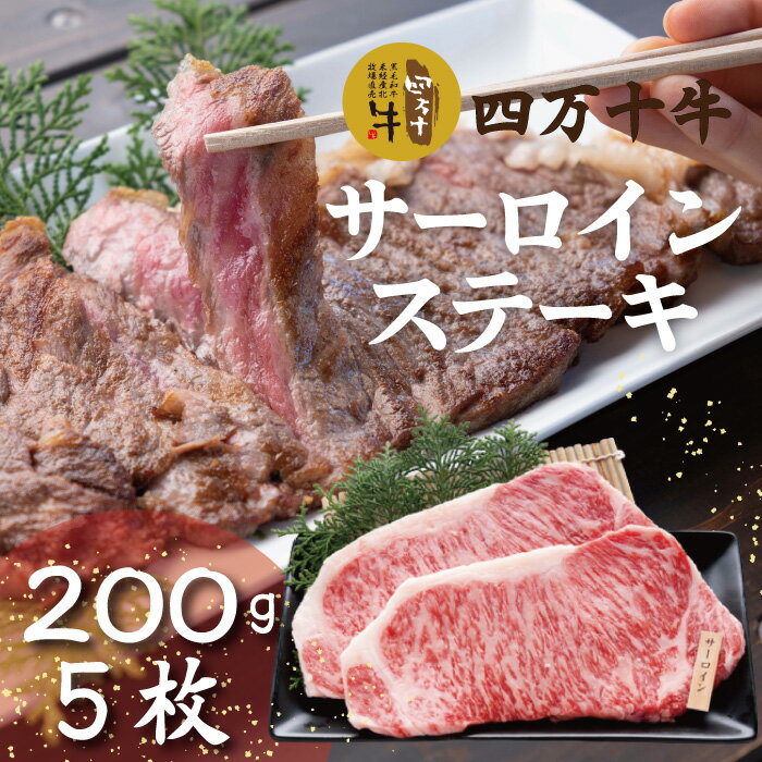 幻のメス牛 四万十牛サーロインステーキ1kg(200g×5枚)国産 高知 しまんと 四万十 四万十牛 メス牛 お取り寄せ 牧場直売 牛肉 黒毛和牛 四万十市 贅沢 送料無料 ステーキ 霜降り バーベキュー アウトドア 焼き肉