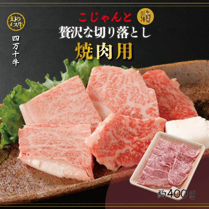 R5-530．幻のメス牛　四万十牛こじゃんと贅沢な切り落とし（焼肉用・400g）国産 高知 しまんと 四万十 四万十牛 メス牛 お取り寄せ 牧場直売 肉 牛肉 黒毛和牛 ご褒美 焼肉 バーベキュー BBQ