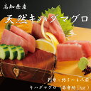 【ふるさと納税】R5-1000.お刺身や漬け丼に! 天然まぐろ キハダマグロ(赤身)約1kg 刺身:5〜6人前 おかず お取り寄せ グルメ 鮪 送料無料