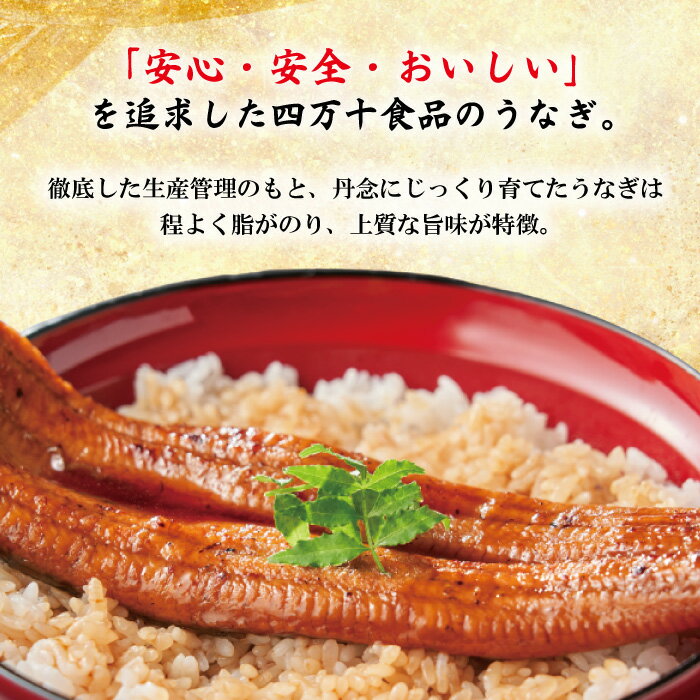 【ふるさと納税】R5-361．＜四万十食品＞うなぎ蒲焼　ハーフ6袋／CD 国産 高知 四万十 しまんと 鰻 ウナギ うなぎ お取り寄せグルメ 国産鰻 蒲焼 鰻蒲焼 うな重 鰻重 小分け ハーフ