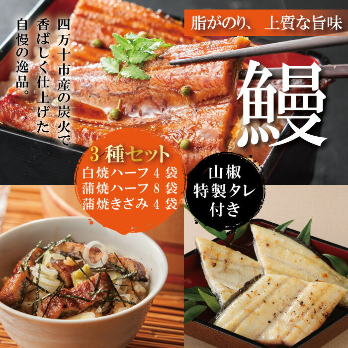 【ふるさと納税】R5-365．＜四万十食品＞うなぎ蒲焼　ハー