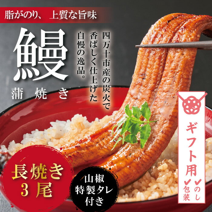 【ふるさと納税】【ギフト用（包装・のし対応）】R5-367G．＜四万十食品＞うなぎ蒲焼　長焼3尾／CD 国...