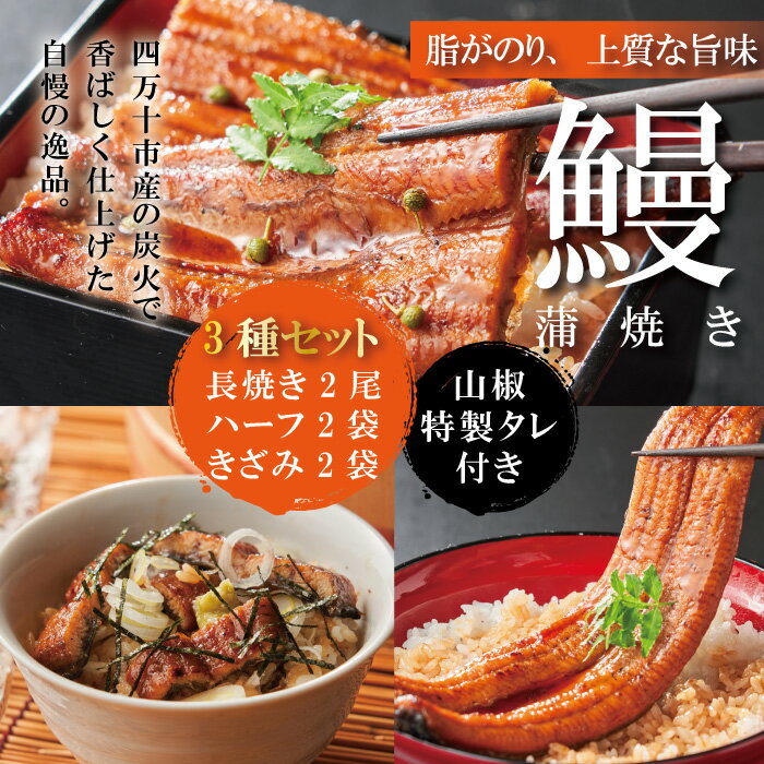 【ふるさと納税】R5-362．＜四万十食品＞うなぎ蒲焼　長尾