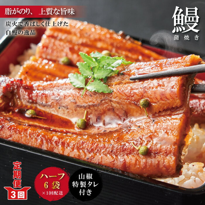 【ふるさと納税】R6-630．【3回定期便】＜四万十食品＞うなぎ蒲焼　ハーフ6袋／CD 国産 高知 四万十 鰻 ウナギ お取り寄せグルメ お楽しみ 国産鰻 蒲焼 鰻蒲焼 小分け ハーフ 3回のサムネイル
