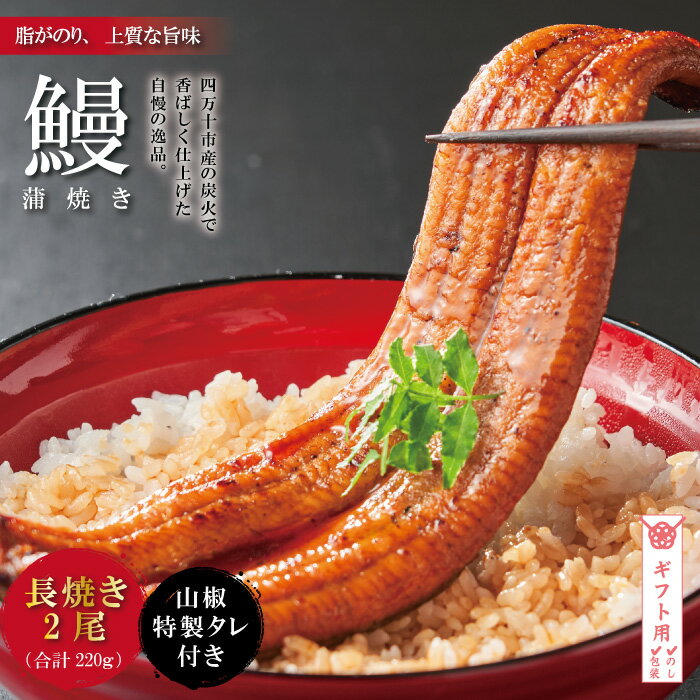 【ギフト用（包装・のし対応）】R5-366G．＜四万十食品＞うなぎ蒲焼　長焼2尾／BC 国産 高知 四万十 ウナギ うなぎ 鰻 お取り寄せ グルメ 国産ウナギ 包装 のし ギフト 送料無料