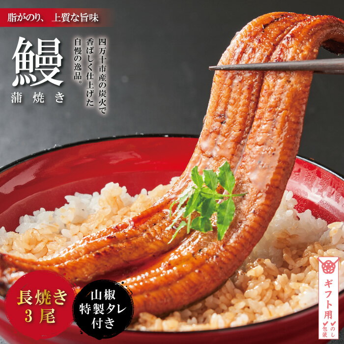 【ふるさと納税】【ギフト用 包装・のし対応 】R5-367G．＜四万十食品＞うなぎ蒲焼 長焼3尾／CD 国産 ふるさと納税 うなぎ 高知 四万十 鰻 ウナギ お取り寄せグルメ 国産鰻 蒲焼 鰻蒲焼 3尾 包…