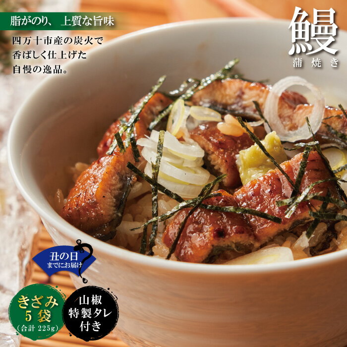 [土用の丑の日までにお届け][四万十食品]うなぎ蒲焼きざみ5袋(合計225g)/K5 鰻 ウナギ うなぎ お取り寄せ グルメ きざみ ギフト 食べ物 食品 おかず 国産鰻 蒲焼 うなぎ蒲焼 ウナギ蒲焼 鰻蒲焼 冷凍 国産 高知 高知県 四万十 四万十市