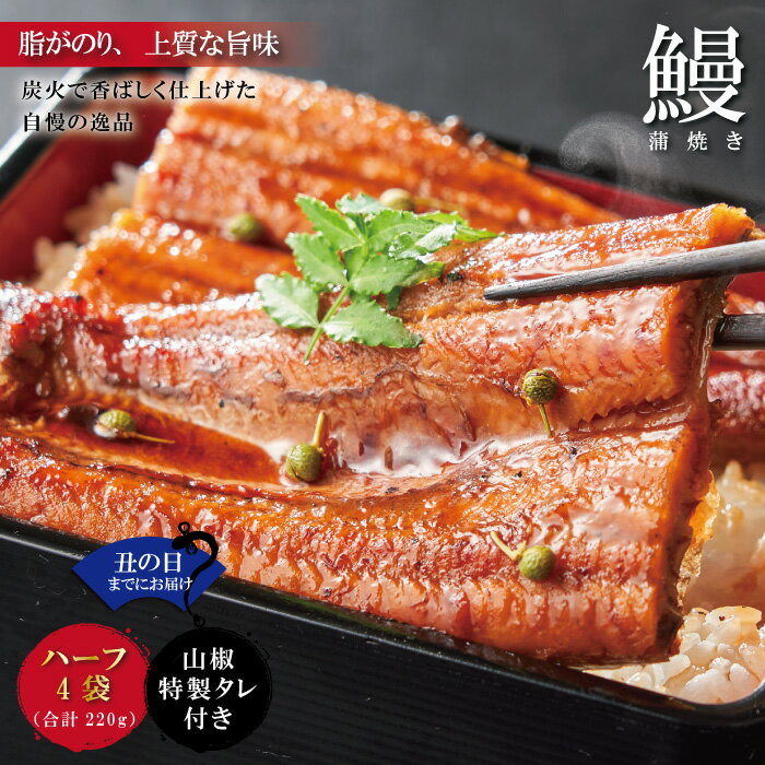 [土用の丑の日までにお届け][四万十食品]うなぎ蒲焼 ハーフ4袋/BC 鰻 ウナギ うなぎ お取り寄せ グルメ お楽しみ おいしい ギフト 食品 おかず ひつまぶし 国産鰻 蒲焼 うなぎ蒲焼 鰻蒲焼 冷凍 送料無料 国産 高知 四万十