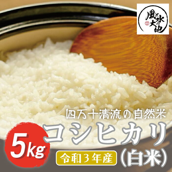 【ふるさと納税】21-849．四万十清流の自然米　白米5kg【コシヒカリ】 令和3年...