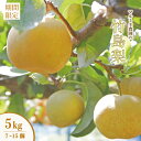 【ふるさと納税】 数量限定 早期受付 マルミネ農園 の 竹島梨 5kg (7~15個) 国産 高知 四万十市 四万十 しまんと 梨 ナシ 幸水 豊水 凛花 なし 果物 くだもの 新鮮 農園 フルーツ デザート おやつ ジューシー 旬 産地直送 送料無料 【2025年8月中旬~9月下旬発送】25-546