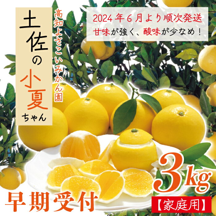 22位! 口コミ数「0件」評価「0」R5-163．【早期受付・数量限定】甘味が強く酸味が少なめ！土佐の小夏ちゃん3kg【家庭用】高知 四万十 四万十市 しまんと 3kg 国産 ･･･ 