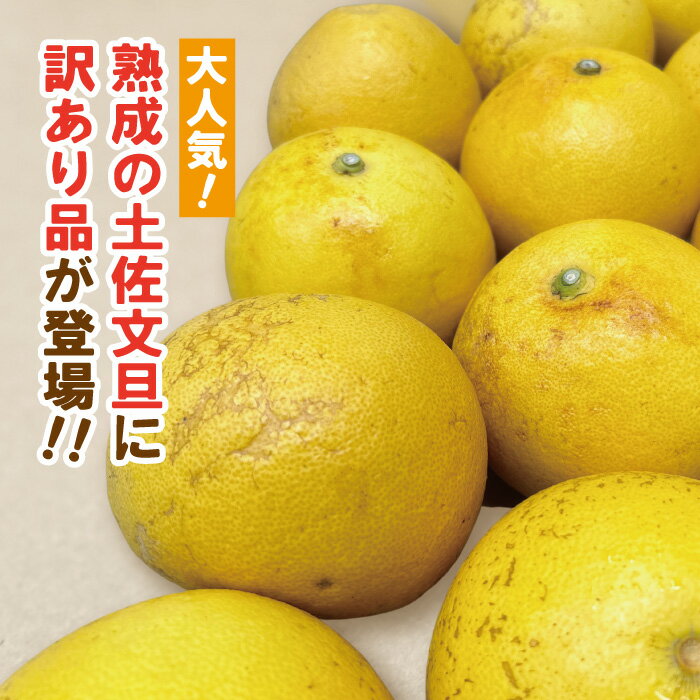 【ふるさと納税】R5-909．【訳あり・数量限定】熟成の土佐文旦5kg【家庭用】 訳あり 訳アリ フルーツ 果物 国産 産地直送 限定 旬 文旦 ぶんたん 柑橘 柑橘類 家庭用 5kg オススメ 人気 高知 四万十 しまんと 送料無料【発送時期：2024年3月～無くなり次第終了】