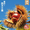 【ふるさと納税】 期間限定 数量限定 新栗 贅沢 四万十栗 3Lサイズ 約1kg 生栗 栗 くり クリ マロン 秋 フルーツ 果物 おやつ 焼き栗 栗ご飯 栗きんとん 甘露煮 おこわ 高知 高知県 四万十 四万十市 しまんと 送料無料 【2025年10月上旬~下旬発送】25-578