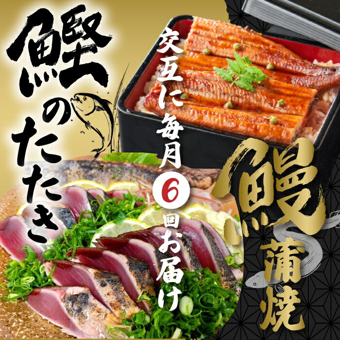 [6回定期便]うなぎの蒲焼と鰹のタタキの月替わり定期便 冷凍 海の幸 川の幸 川魚 魚 魚介 かつお カツオ 鰹 藁焼き たたき うなぎ 鰻 蒲焼 ご当地 グルメ ごちそう 総菜 おかず 高知 四万十 しまんと お取り寄せ 送料無料 定期便 新鮮 月替わり