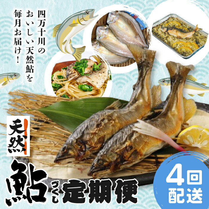 魚介類・水産加工品(カツオ)人気ランク42位　口コミ数「0件」評価「0」「【ふるさと納税】R5-851．【4回定期便】鮎づくし！清流四万十川で育った天然鮎の定期便 人気 グルメ 定期便 国産 魚介 魚 天然 鮎 あゆ アユ コンフィ 缶詰 焼き魚 干物 パエリア 惣菜 おかず 四万十川 高知 四万十 しまんと 送料無料」