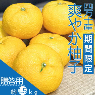 四万十産爽やか柚子 四万十産爽やか柚子