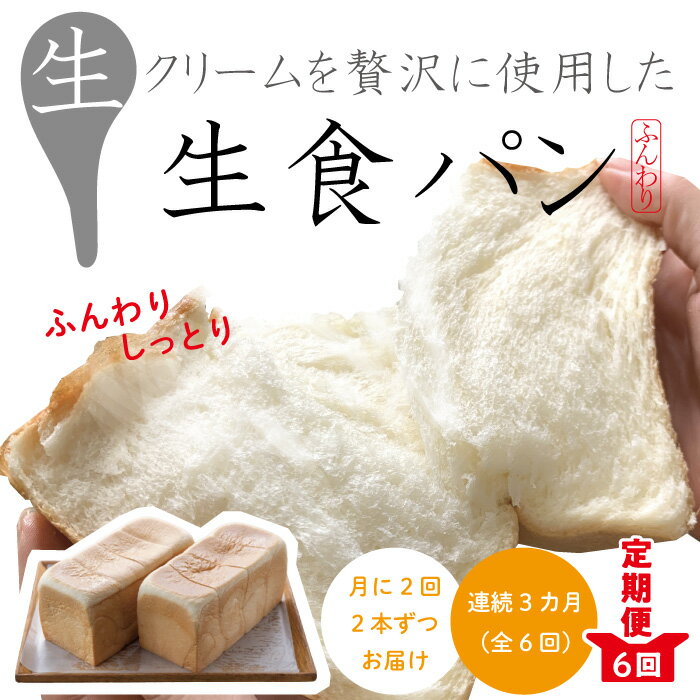 【ふるさと納税】22-345．【月2回定期便】パンのピノキオ特製　ふんわり生食パン2本セット（合計12本）【毎月2回3カ月間(全6回お届け)】 冷凍 高級食パン 食パン ふんわり しっとり 生食パン 朝食 おやつ 手作り ベーカリー 四万十 しまんと お取り寄せ 送料無料 定期便･･･