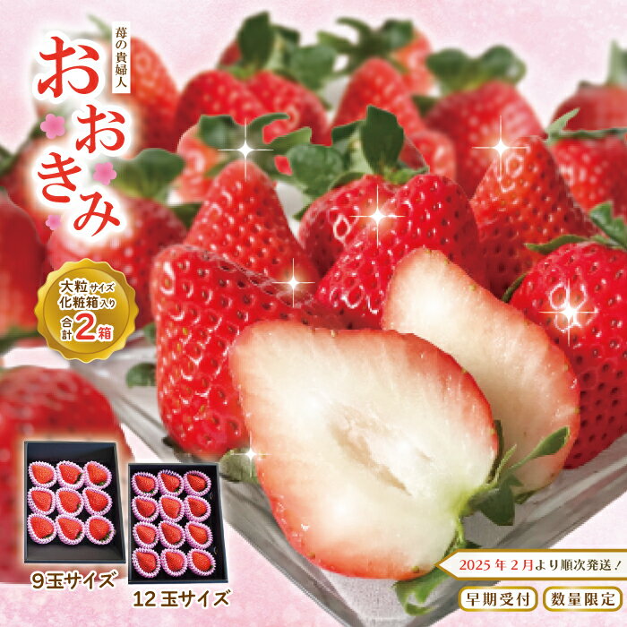 【ふるさと納税】24-774．【早期受付・数量限定】苺の貴婦人 おおきみ (化粧箱) 2箱 ギフト 贈答 贈り物 プレゼント 化粧箱 お祝い いちご イチゴ 苺 ストロベリー 高級 フルーツ 果物 大粒 プレミアム 限定品 セット 送料無料 お取り寄せ【2025年2月より順次発送予定】