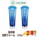 【ふるさと納税】R5-193.数量限定!呼吸肌 洗顔フォーム 120g (2本セット) 送料無料 国産 お取り寄せ