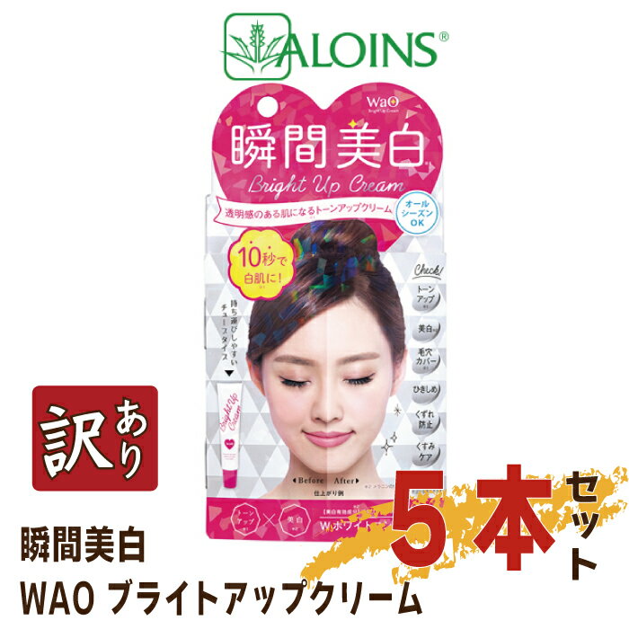 スキンケア(フェイスクリーム)人気ランク55位　口コミ数「0件」評価「0」「【ふるさと納税】R5-195．【訳あり】美白ケア＆保湿ケアもできる♪WAO ブライトアップクリーム 35g　(5本セット) 送料無料 美容 美白 保湿 クリーム ブライトアップ 塗るだけ 簡単 手軽」