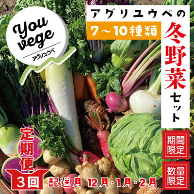 プランターでも冬に育てられる野菜10選 気になる冬時期の栽培ポイントも解説 暮らし の プランターでも冬に育てられる野菜10選 気になる冬時期の栽培ポイントも解説 暮らし の