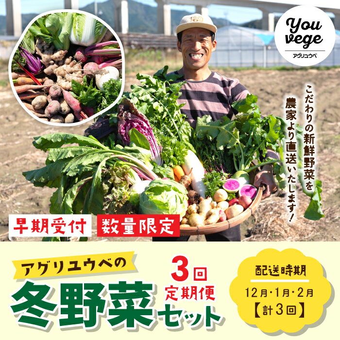 【ふるさと納税】22-986．【3回定期便・早期受付・数量限定】＼とれたて新鮮／農家直送！アグリユウベの冬野菜セット国産 野菜セット 野菜 冬野菜 新鮮 定期便 3回 限定農家直送 おまかせ 旬 高知 四万十 しまんと 送料無料【配送月：2022年12月・2023年1月・2月】のサムネイル