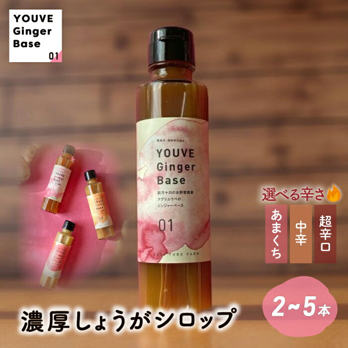 [選べる辛さ]生姜好きさんにオススメ! 濃厚 しょうがシロップ 2本 / 5本 セット[あまくち・中辛・超辛口]国産 生姜シロップ 自家製 生姜 しょうが ショウガ ジンジャー シロップ ドリンク 調味料 高知 四万十 四万十市 しまんと 産地直送 送料無料