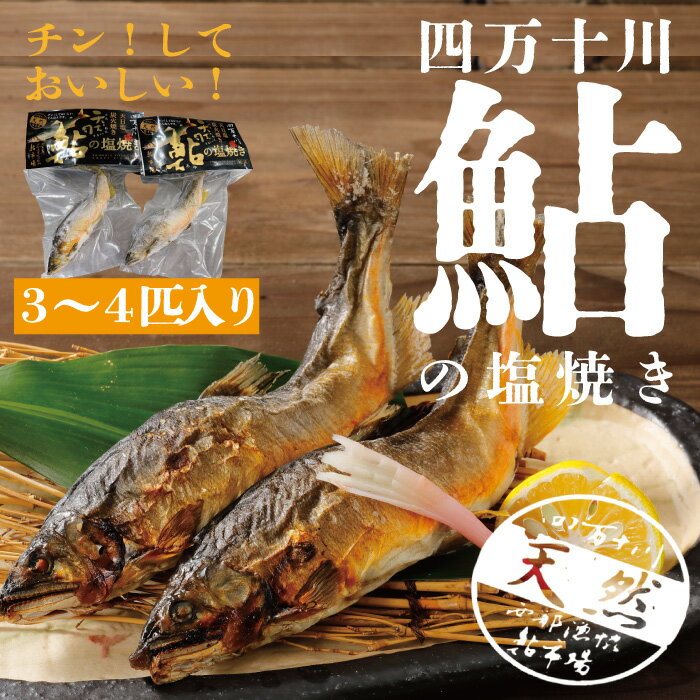 炭火でじっくり焼いた四万十川天然鮎の塩焼き(3〜4匹) 高知 四万十 しまんと 四万十川 川魚 鮎 天然 香魚 お取り寄せ 天然鮎 焼き鮎 あゆ アユ 炭火焼 個包装