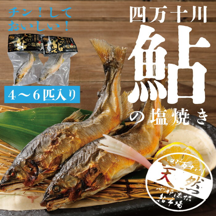 商品説明 鮎をご家庭で焼けない方のために、レンジでチンして食べられます。 四万十川西部漁業協同組合、通称鮎市場にはすぐ傍の四万十川で釣れた鮎が続々と運び込まれます。 天然鮎を塩焼きにしてそのまま冷凍、真空パックにしました。 一般的な川魚と比べ、鮎は苔を食べて育つのが特徴です。苔の良し悪しで味わいは全く異なります。四万十川の味をお楽しみください。 注意事項 ※1匹1匹パック詰めにし、配送しております。 ※画像はイメージです。 名称 四万十川天然鮎 内容料 4〜6匹をパック 原材料 商品シールに記載 保存方法 冷凍 賞味期限 製造日から冷凍で1年間 解凍後はお早めにお召し上がりください 提供業者 四万十川西部漁業協同組合　西土佐鮎市場 ・ふるさと納税よくある質問はこちら ・寄付申込みのキャンセル、返礼品の変更・返品はできません。あらかじめご了承ください。入金確認後、注文内容確認画面の【注文者情報】に記載の住所にお送りいたします。 発送の時期は、寄付確認後14日以内を目途に、お礼の特産品とは別にお送りいたします。