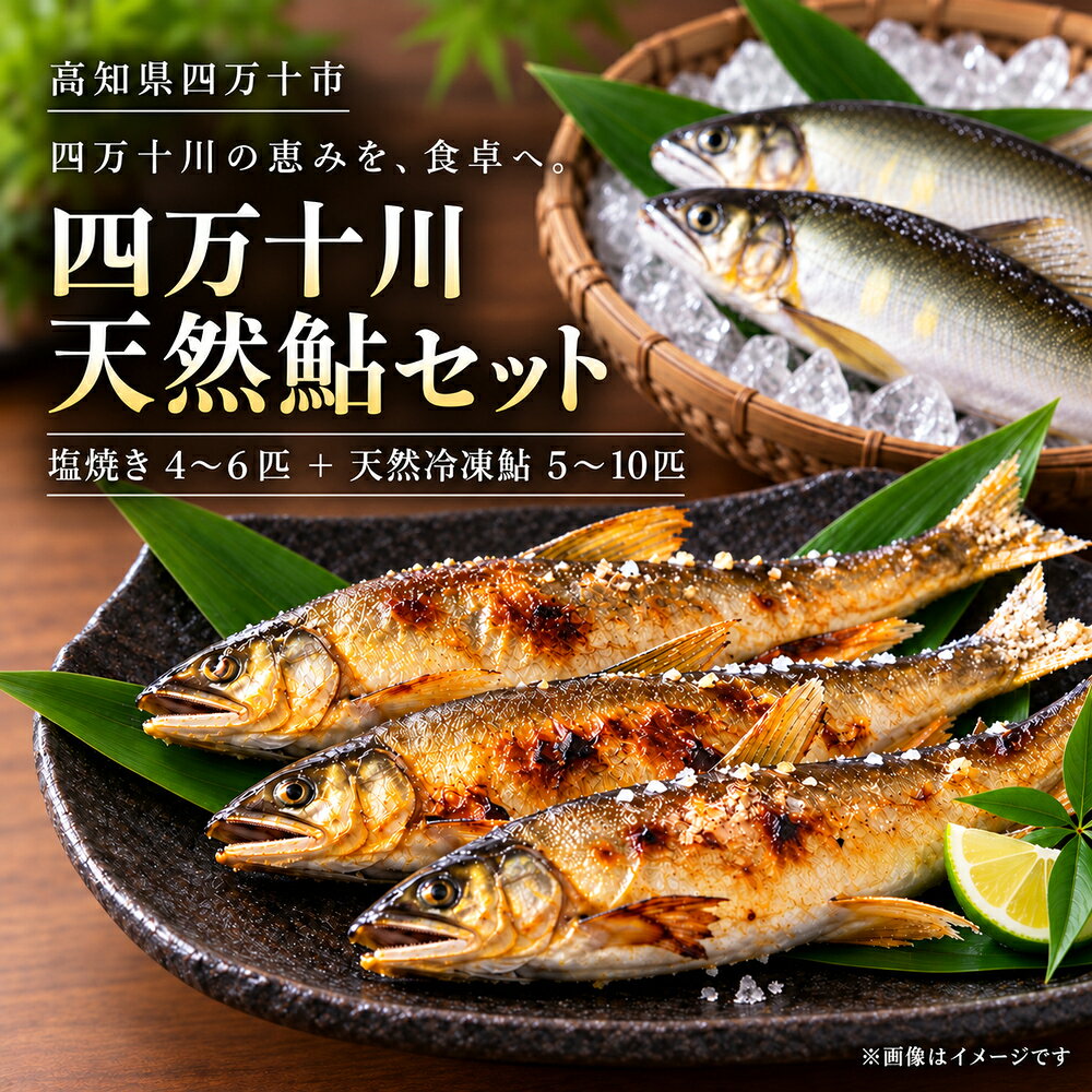 鮎 天然鮎 「四万十川天然鮎セット 塩焼き4〜6匹+天然冷凍鮎5〜10匹」 [ 高知県四万十市 四万十川 あゆ アユ 天然 魚 川魚 塩焼き 冷凍 国産 セット ]