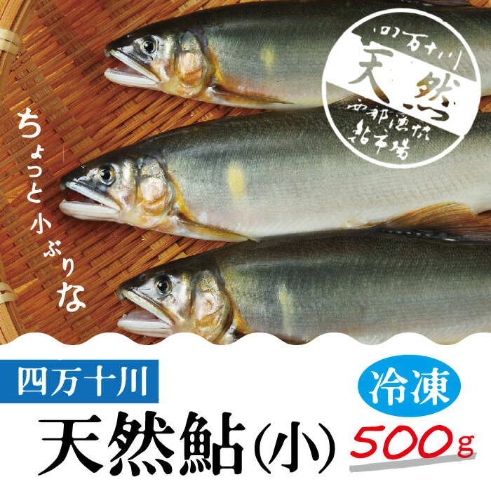 【ふるさと納税】R5-775．四万十川の天然鮎(小)500g(約6～9匹) 高知 四万十市 四万十 しまんと 四万十川 川魚 鮎 天然 香魚 生魚 お取り寄せ 天然鮎 焼き鮎 あゆ アユ