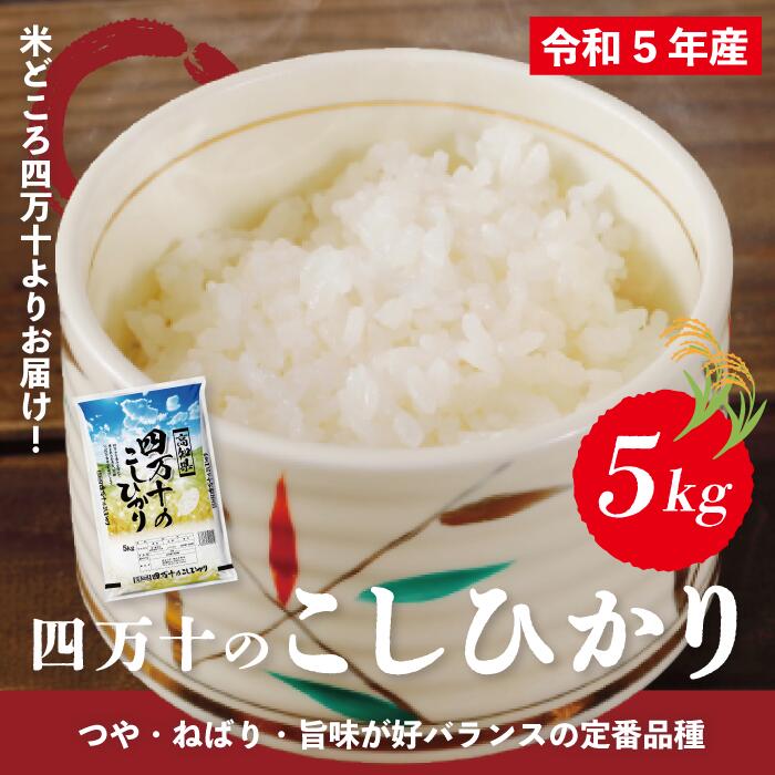 [令和5年産]四万十のこしひかり 5kg こしひかり コシヒカリ 米 こめ コメ ごはん ふっくら もちもち 白米 精米 国産 高知県 高知 四万十 産地直送 送料無料