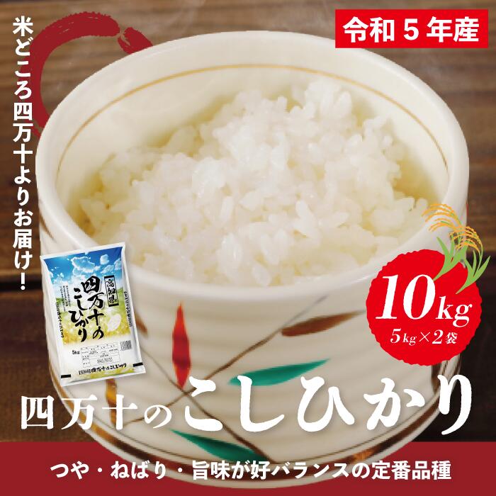 12位! 口コミ数「0件」評価「0」R5-149．【令和5年産】四万十のこしひかり 10kg こしひかり コシヒカリ 米 こめ コメ ごはん ふっくら もちもち 白米 精米 国･･･ 