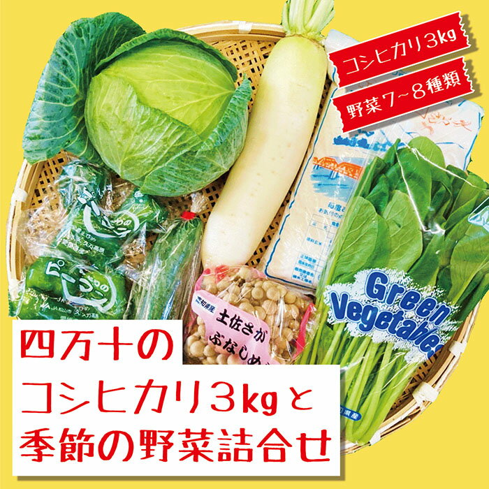 【ふるさと納税】21-786.四万十のコシヒカリ3kgと季節の野菜詰合せ