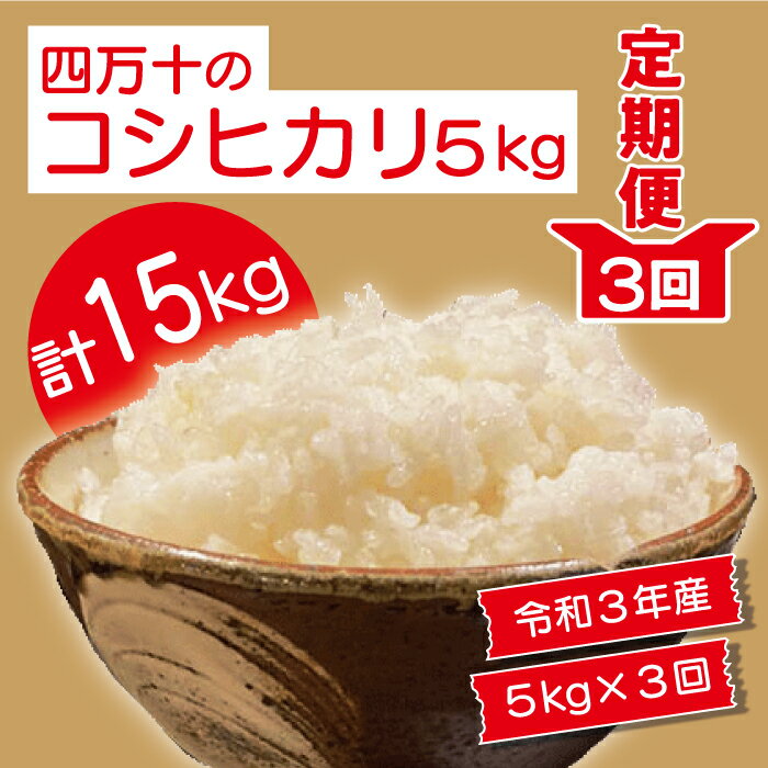 【ふるさと納税】21-952．【令和3年産・3回定期便】四万十市産コシヒカリ5kg×3回（計15kg）令和3年 米 こめ お米 白米 国産 四万十市 四万十 しまんと おいしい 高知 高知県 産地直送 送料無料