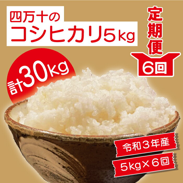 【ふるさと納税】21-953．【令和3年産・6回定期便】四万十市産コシヒカリ5kg×6回（計30kg）令和3年 米 こめ お米 白米 国産 四万十市 四万十 しまんと おいしい 高知 高知県 産地直送 送料無料