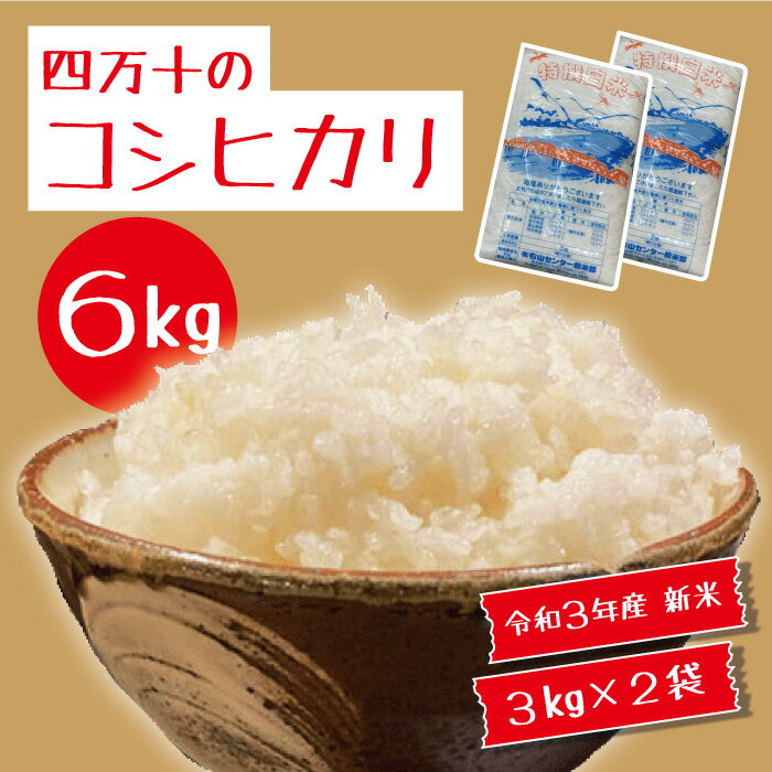 【ふるさと納税】21-972．米こしひかり 6kg 令和3年産 白米 精米 高知県産コシヒカリ6kg（3kg×2袋）送料無料