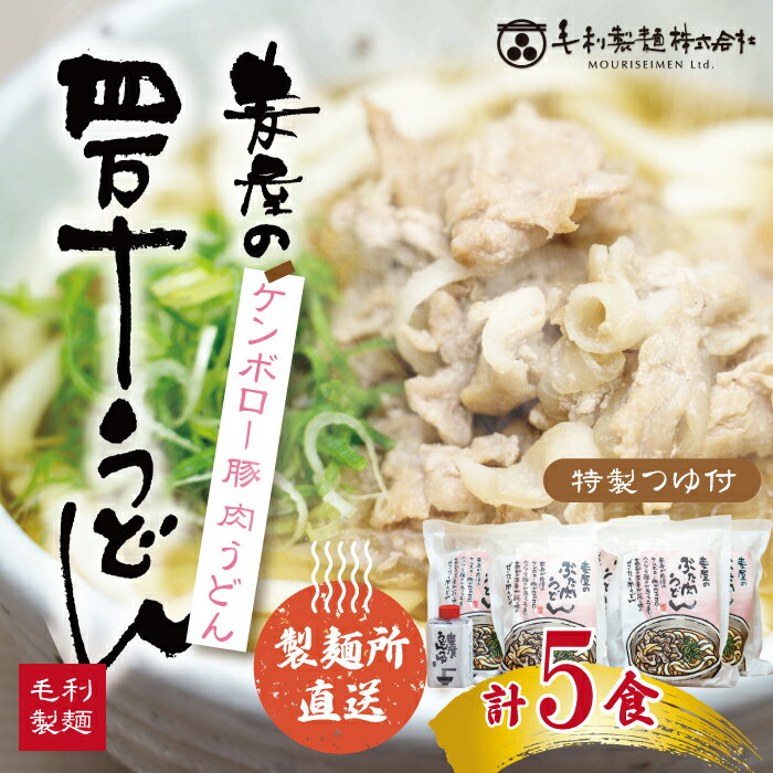 赤身が美味しい!ケンボロー豚で作った麦屋の肉うどん(特製つゆ付き) 5食セット 国産 高知 四万十 うどん ケンボロー 豚 肉 お取り寄せ グルメ 送料無料