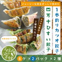 12位! 口コミ数「0件」評価「0」R5-013． ふるさと納税 おかず 四万十ひすい餃子・かつお餃子（8ヶ×2パック×2種） 高知 手作り餃子 焼き餃子だけでなく水餃子にも ･･･ 