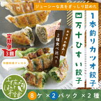 【ふるさと納税】21-1026．【3回定期便】家(うち)に来る“高知” ジューシーな具をぎっしり詰めた手づくり!!　四万十ひすい餃子・一本釣りかつお餃子（8ヶ×2パック×2種）・たれ付き　にんにく不使用！ 餃子 四万十ポーク 鰹 中華 高知県 高知 四万十市 送料無料