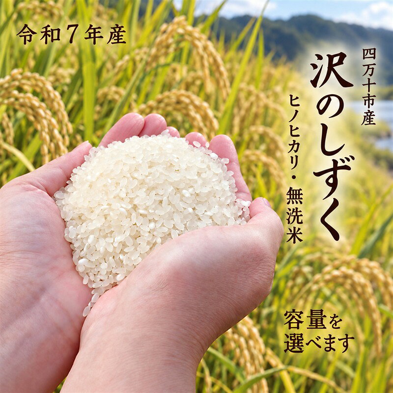 【選べる 容量】令和7年産 米 ヒノヒカリ 5kg 10kg 無洗米 精米 白米 沢のしずく 2025年 四万十市産 国産 ひのひかり おこめ こめ コメ ご飯 ごはん おいしい ふっくら もちもち 高知県 高知 四万十市 四万十 しまんと お取り寄せ 送料無料