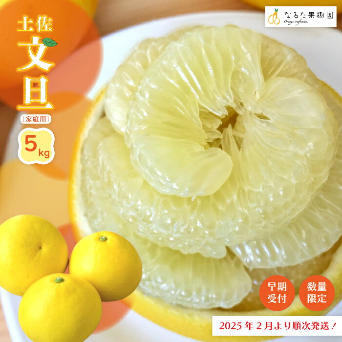 24-335．【 早期受付 期間限定 数量限定 】＼旬の味覚／甘味と酸味がまろやかに溶け合う！四万十市産 土佐文旦 5kg 家庭用 限定 ぶんたん ブンタン 文旦 柑橘 フルーツ 果物 期間限定 産地直送 高知 送料無料 お取り寄せ 【配送時期：2025年2月～3月中旬】