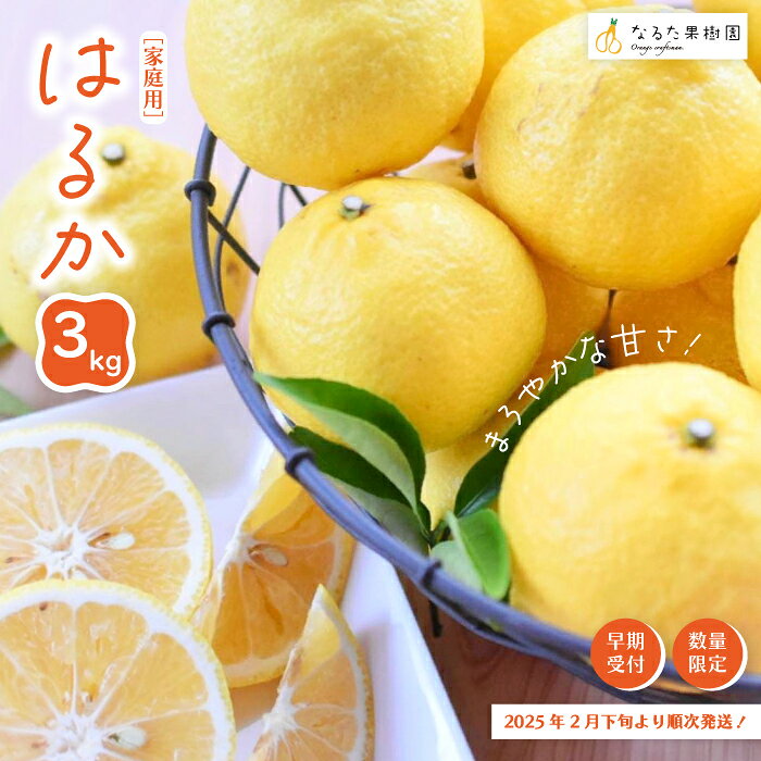 × 【ふるさと納税】24-348．【 早期受付 期間限定 数量限定 】爽やかな甘さ！なるた果樹園 四万十市産 はるか 3kg 家庭用 限定 限定品 予約 先行 フルーツ 果物 柑橘 ハルカ おいしい 産地直送 高知 四万十 送料無料 お取り寄せ 【配送時期：2025年2月下旬～4月上旬】